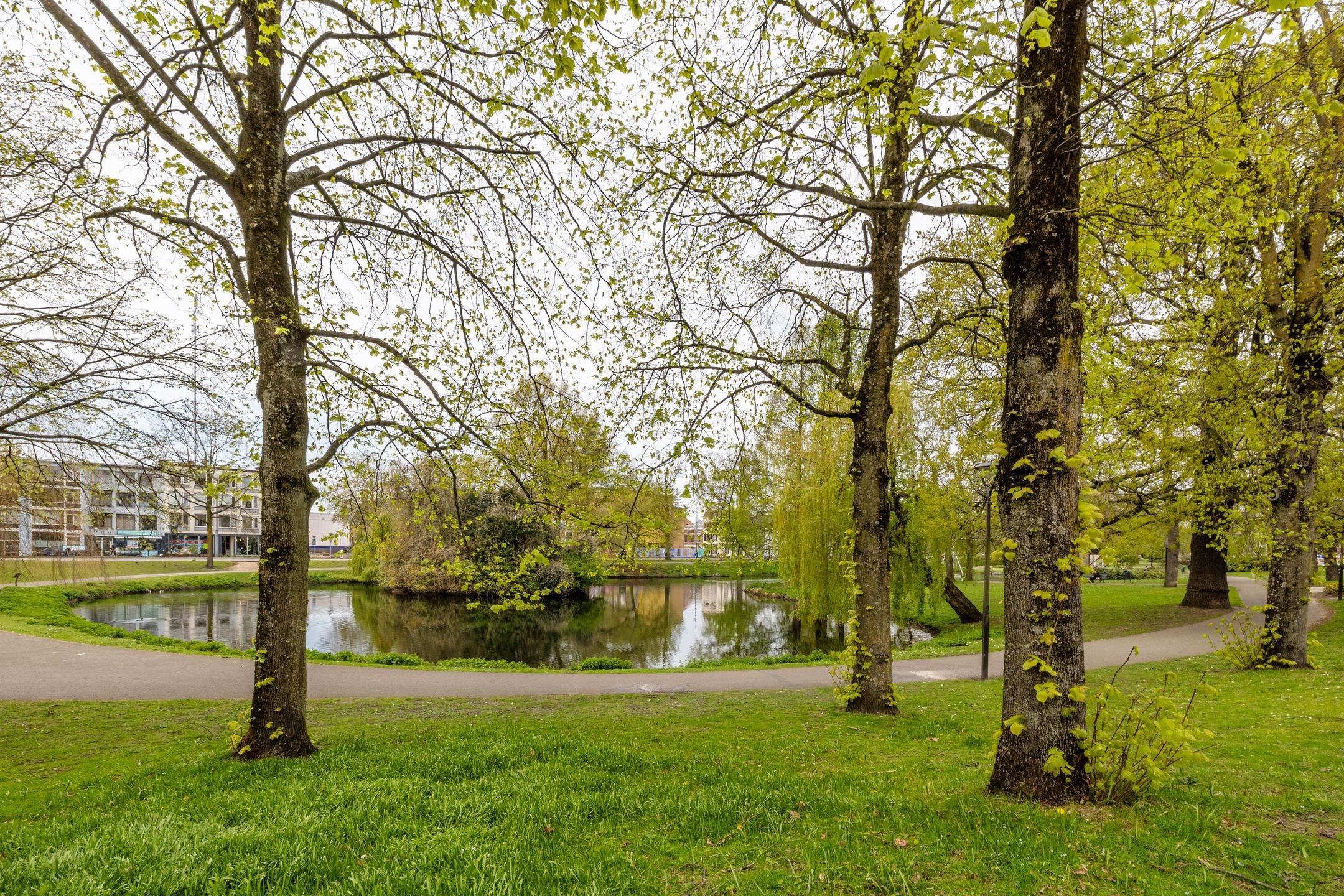 Foto 33 van Eusebiusbuitensingel 20-7