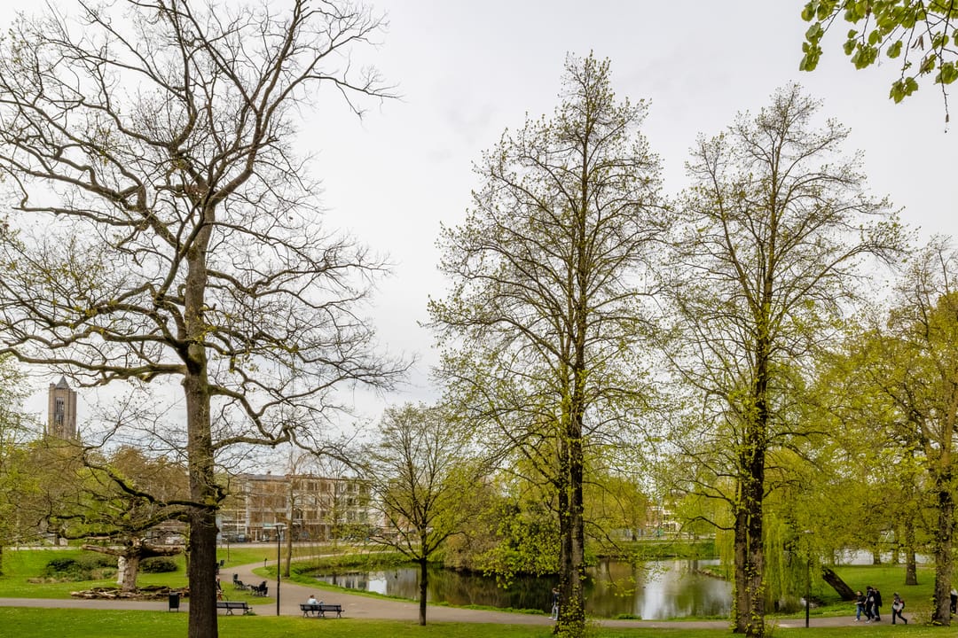 Foto 31 van Eusebiusbuitensingel 20-7