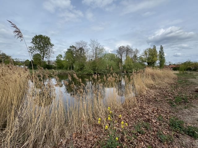 Bekijk foto 2 van Hooghout 67