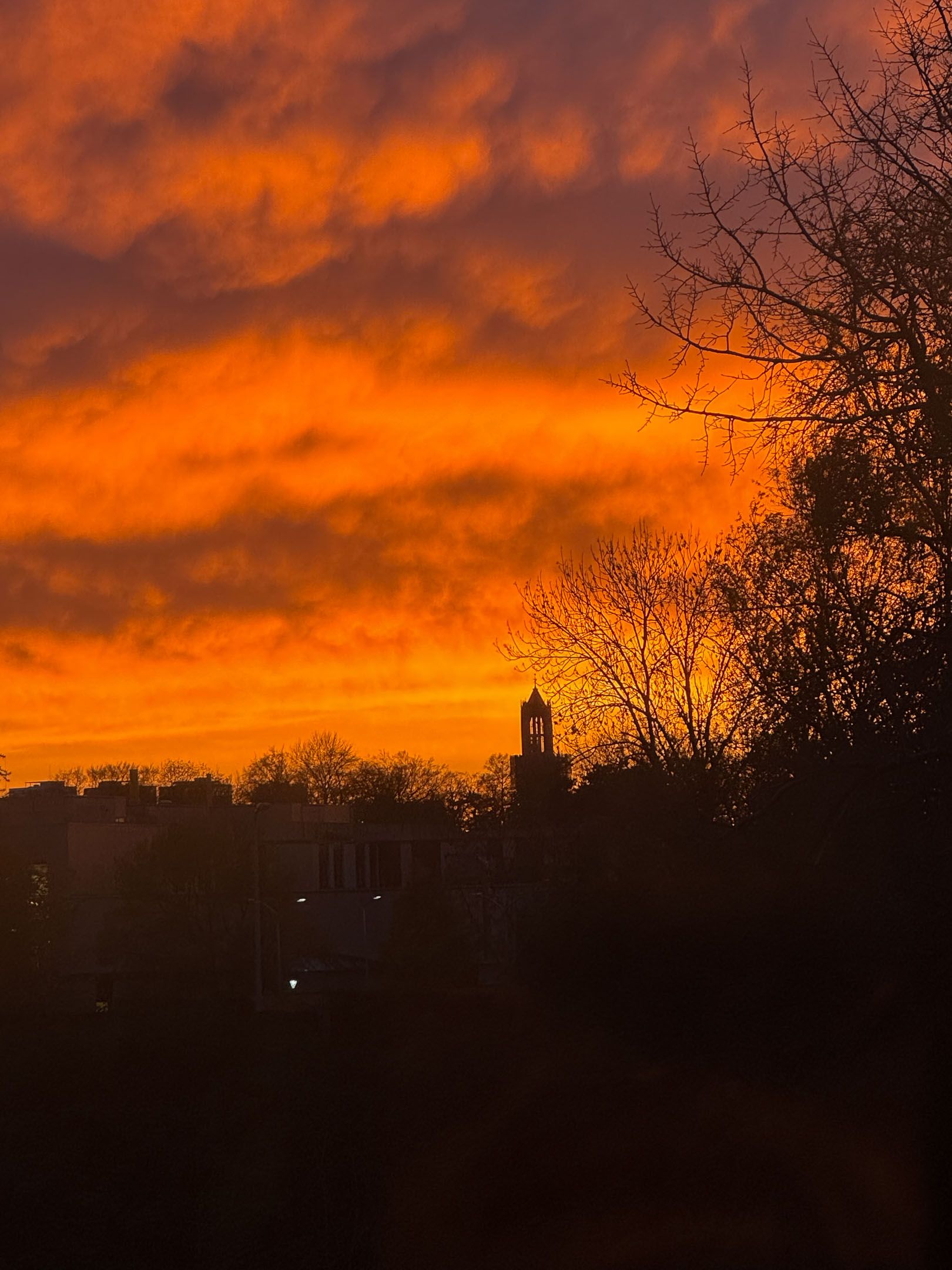 Foto 24 van Albert van Dalsumlaan 165