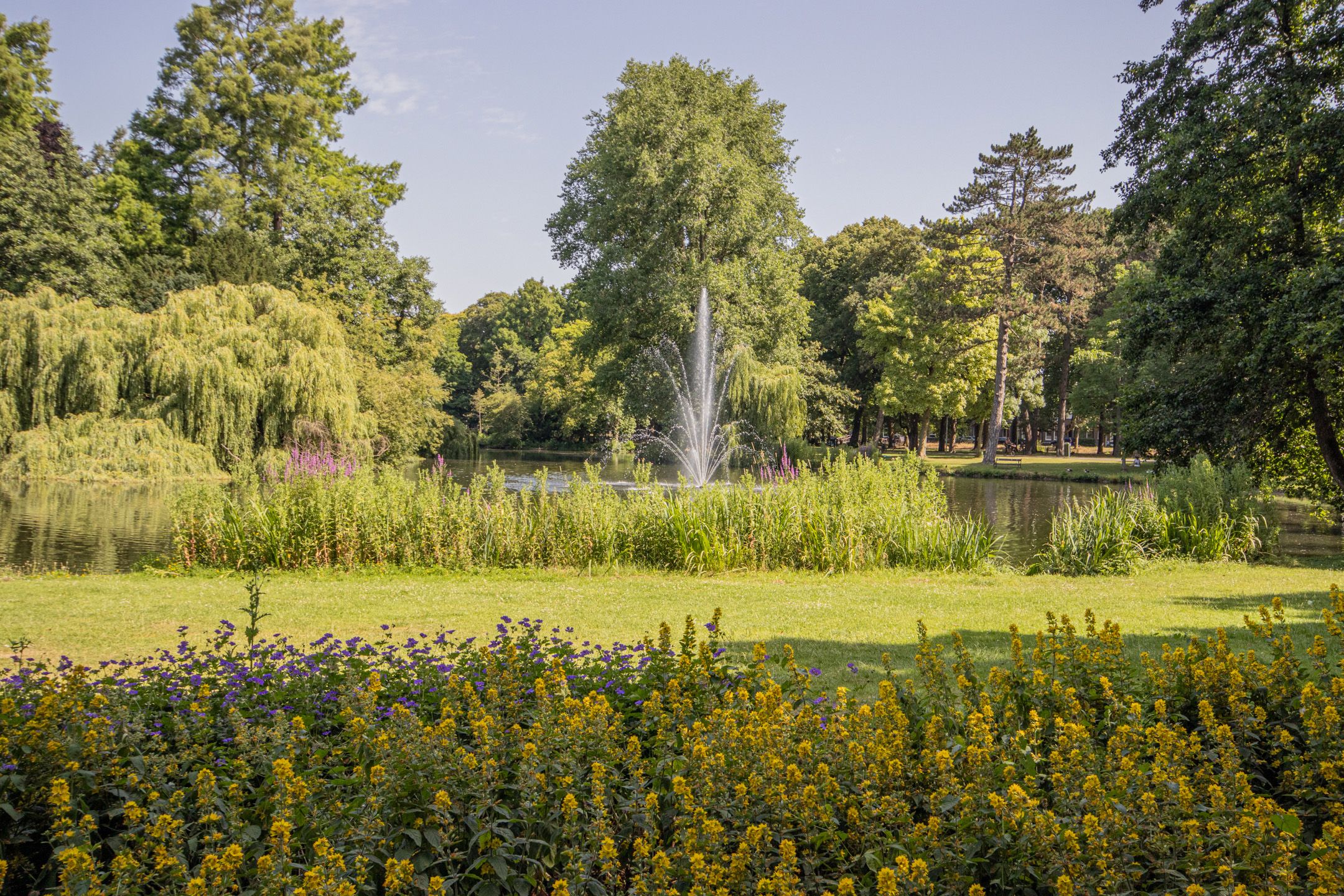 Foto 36 van Albert van Dalsumlaan 165