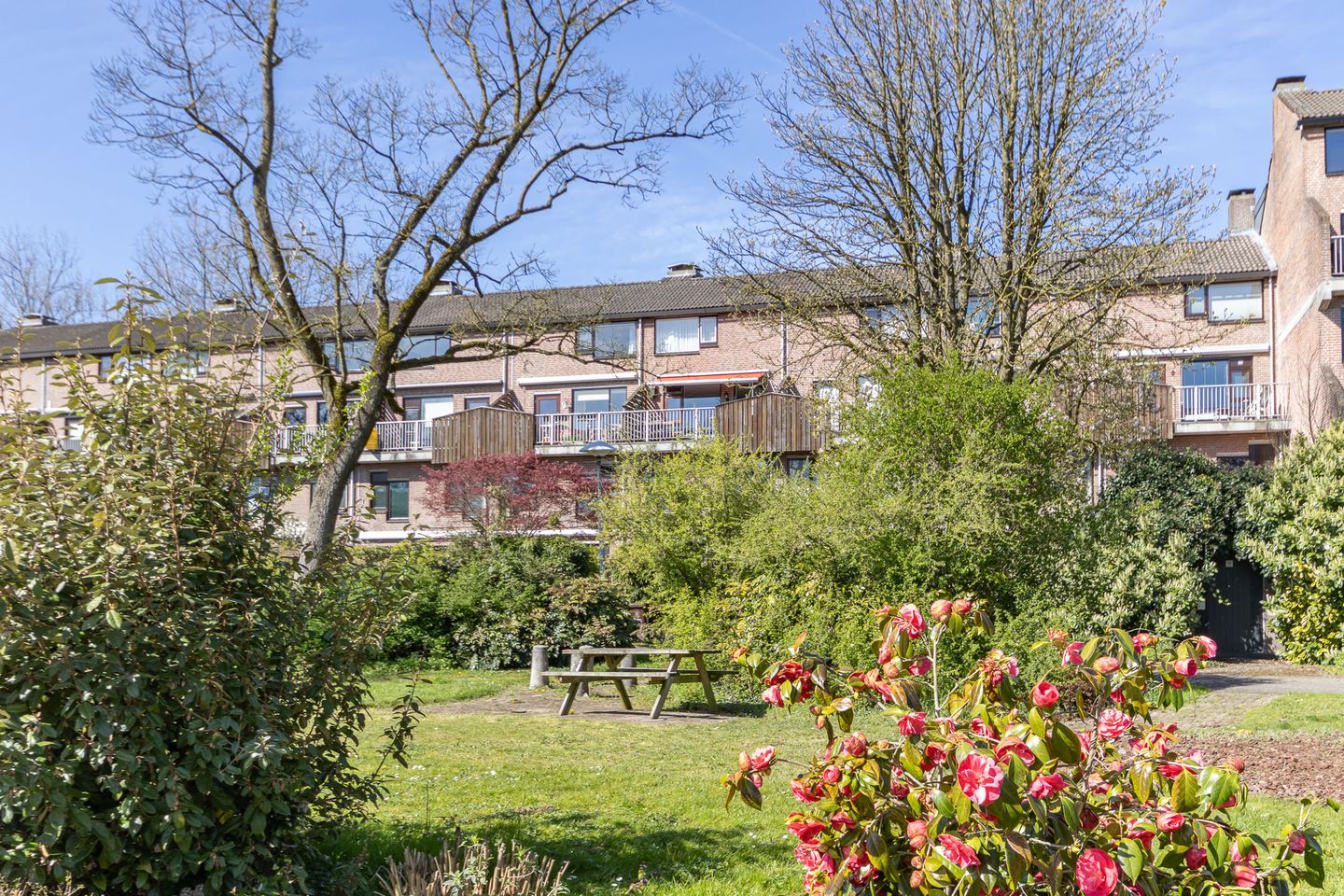 Foto 29 van Albert van Dalsumlaan 165