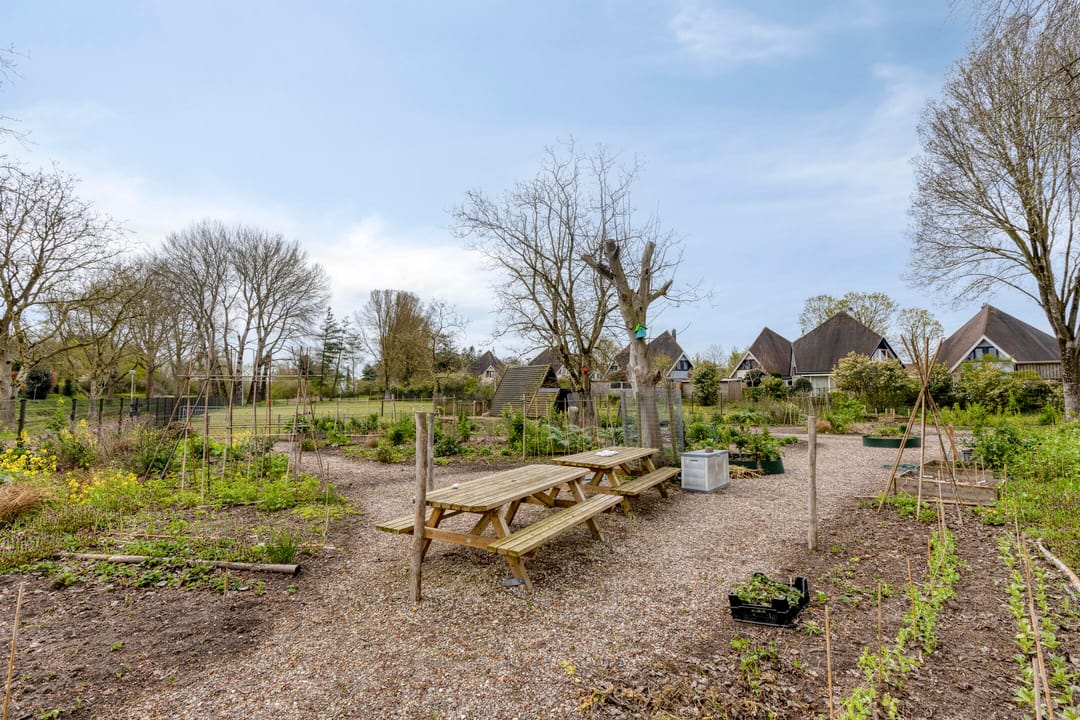 Foto 53 van Abelenberg 2