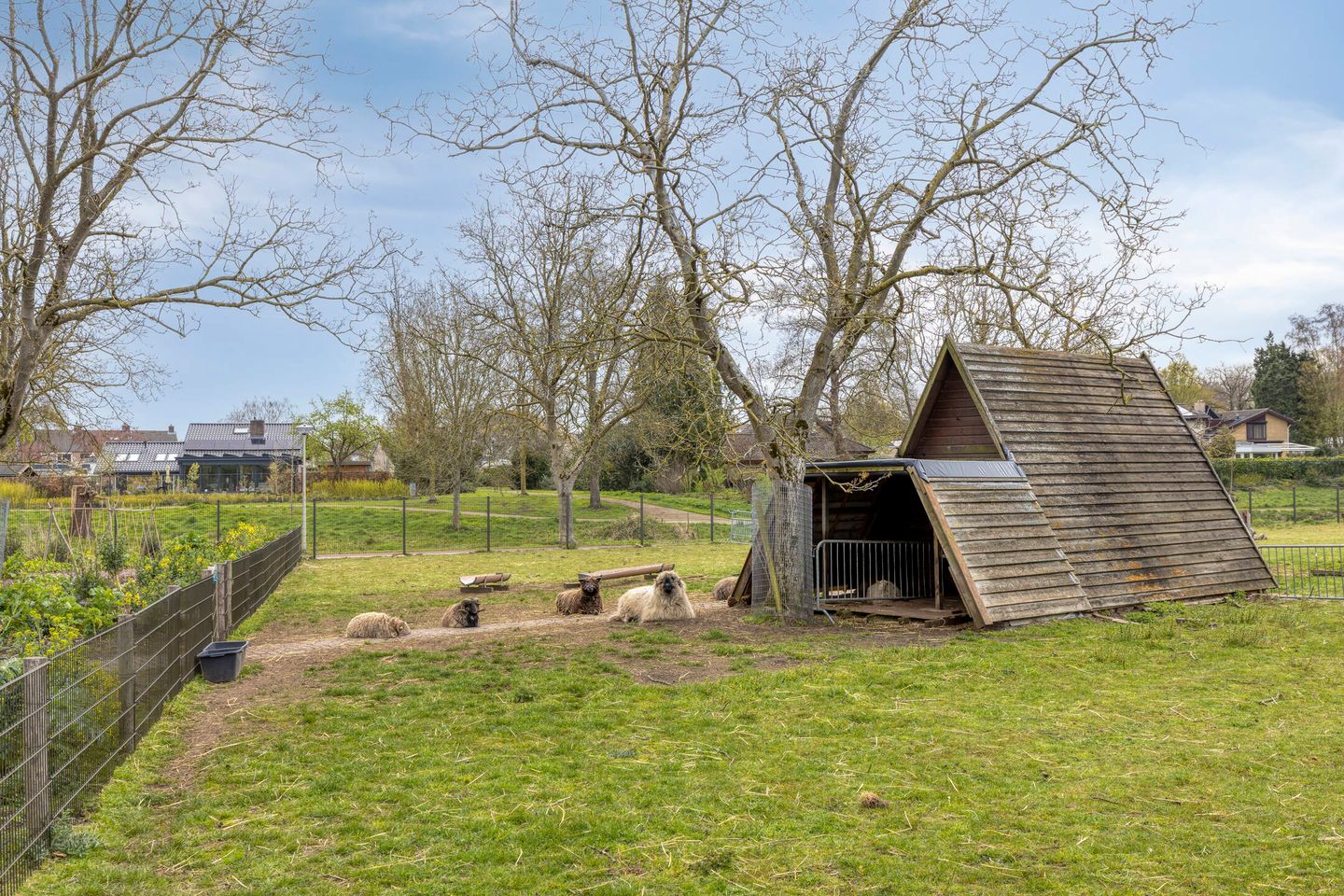 Foto 55 van Abelenberg 2