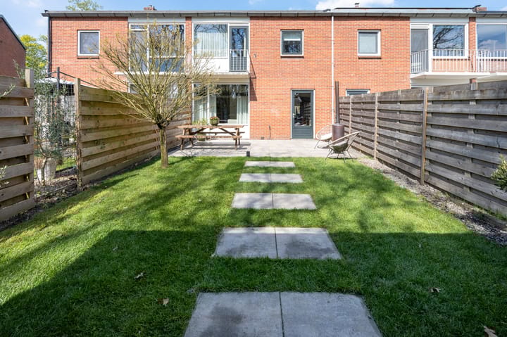 Wollegras 9 main image