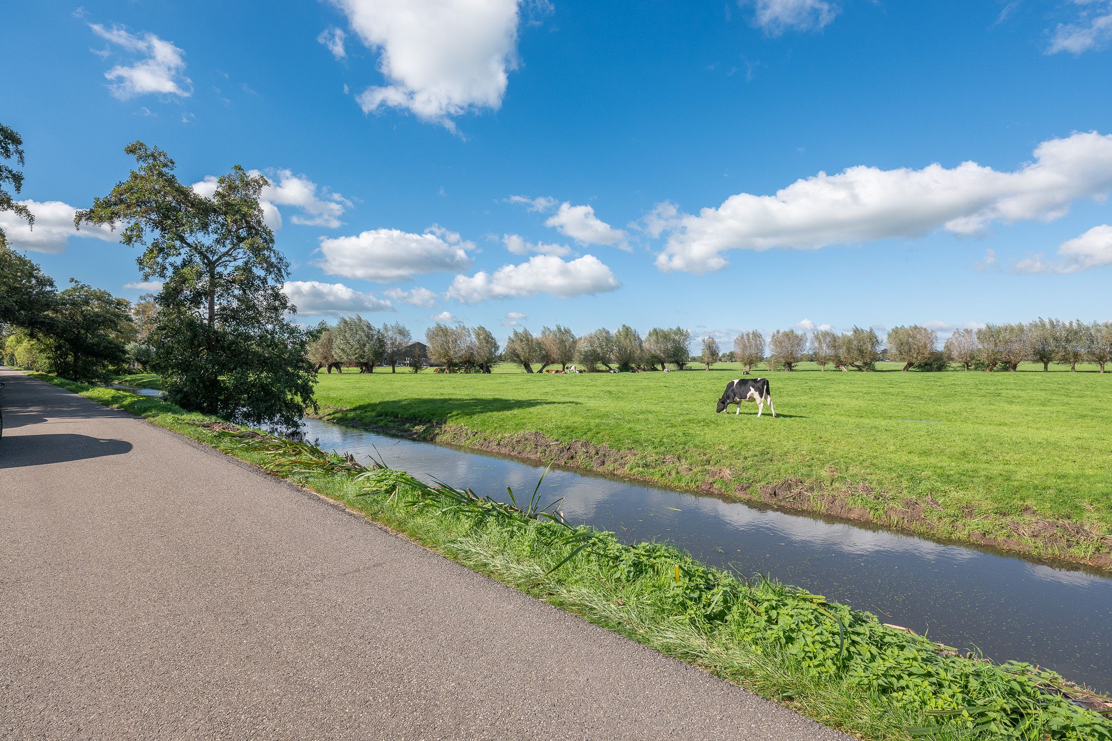 Foto 42 van Kleizuwe 5