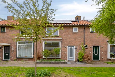 undefined main image