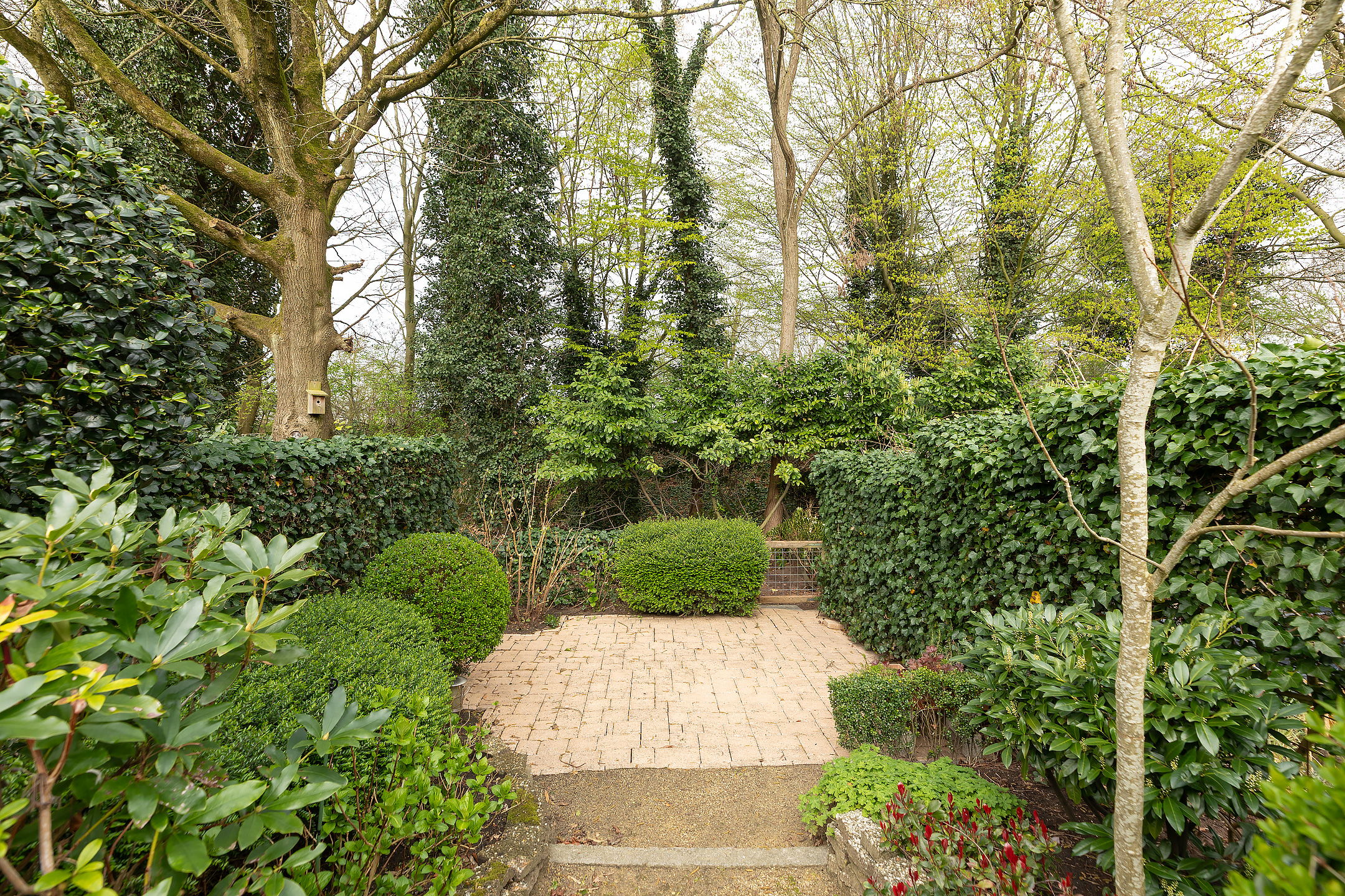 Foto 24 van Van der Zaenlaan 11