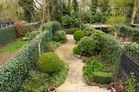 Van der Zaenlaan 11 tertiary image