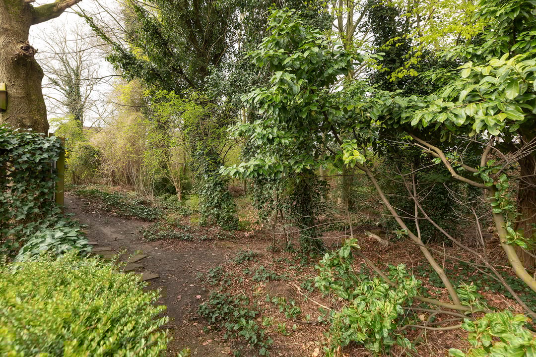 Foto 28 van Van der Zaenlaan 11