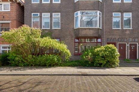 Amalia van Solmsstraat thumbnail