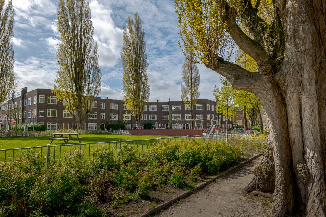 Foto 8 van Amalia van Solmsstraat 15