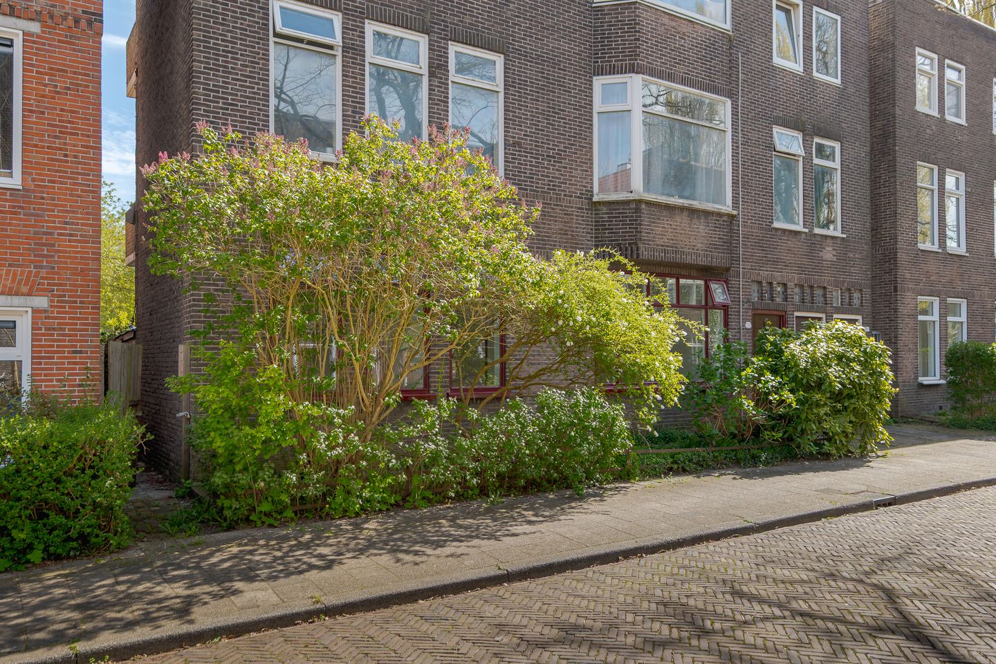 Foto 49 van Amalia van Solmsstraat 15