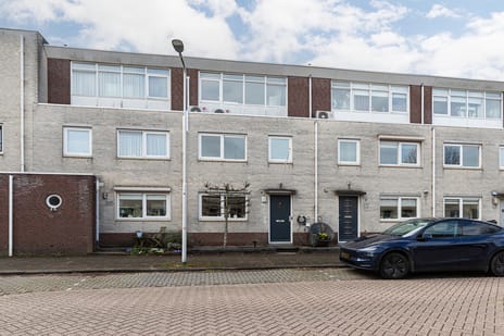 undefined main image