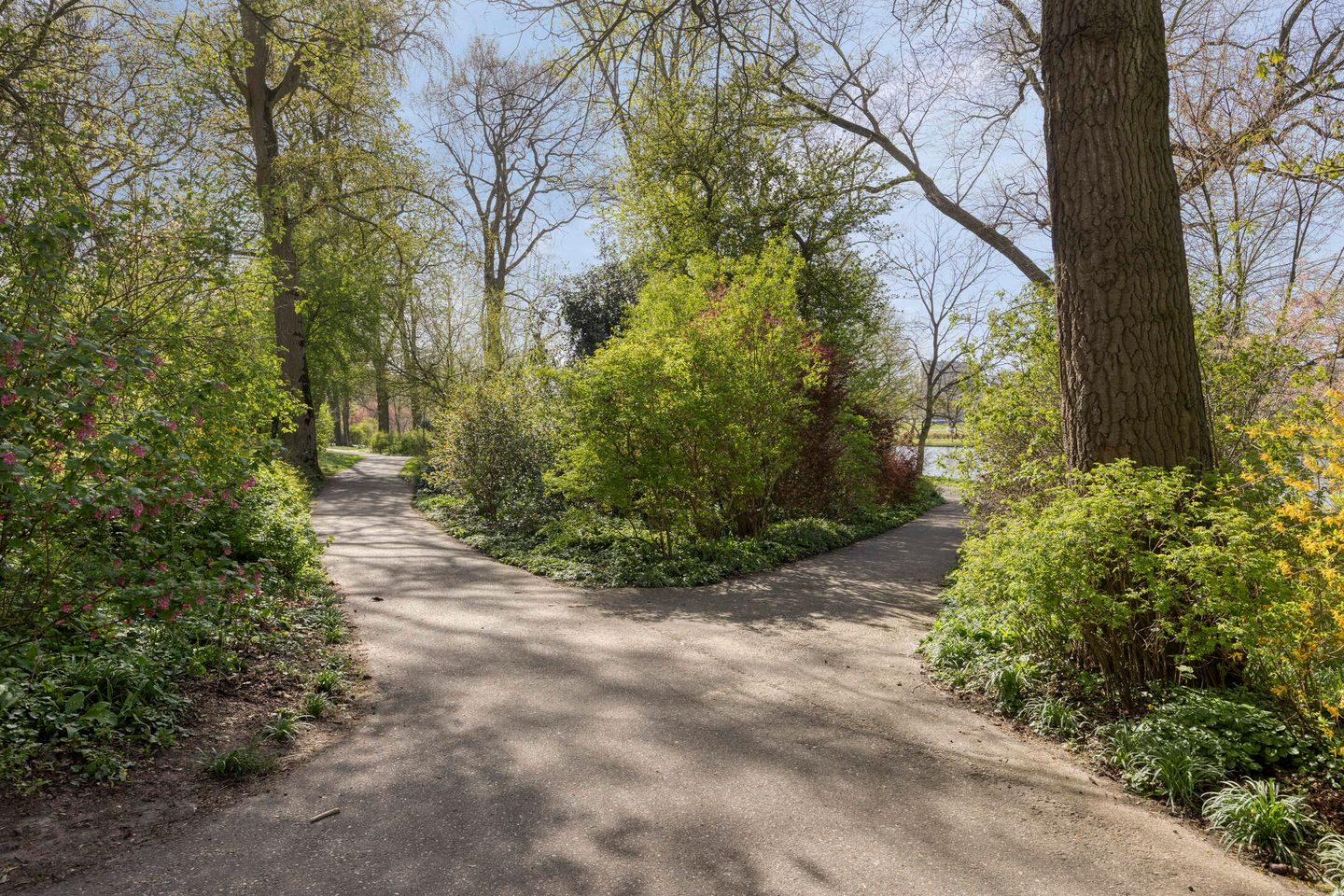 Foto 34 van Spuistraat 10