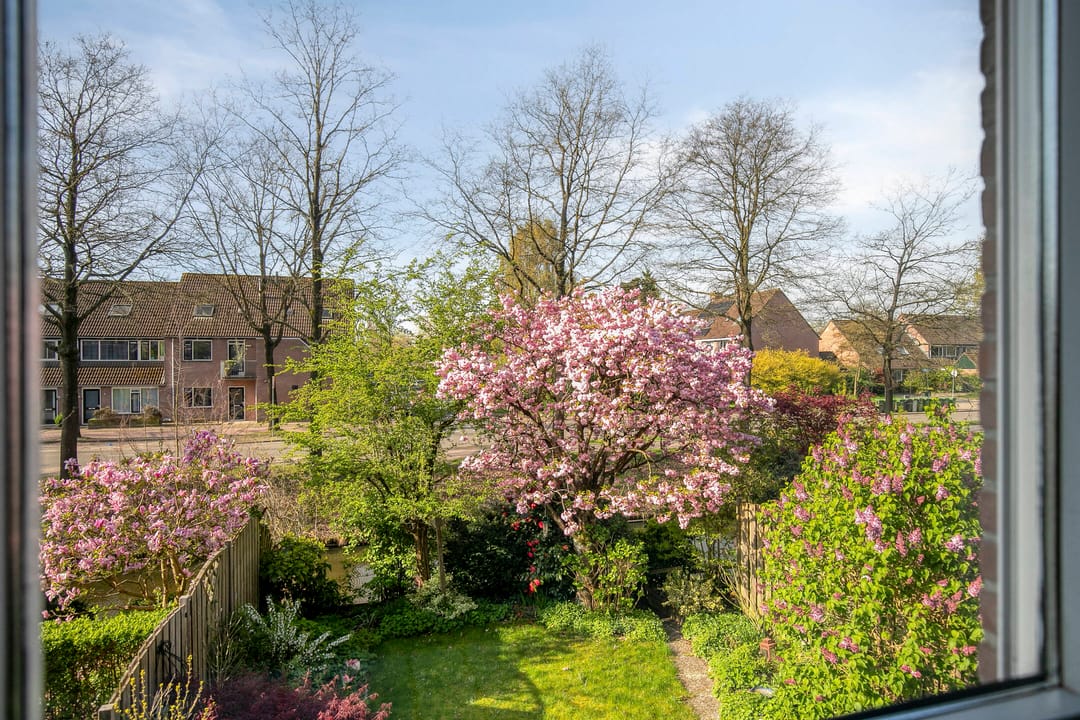 Foto 16 van Beverweerd 9