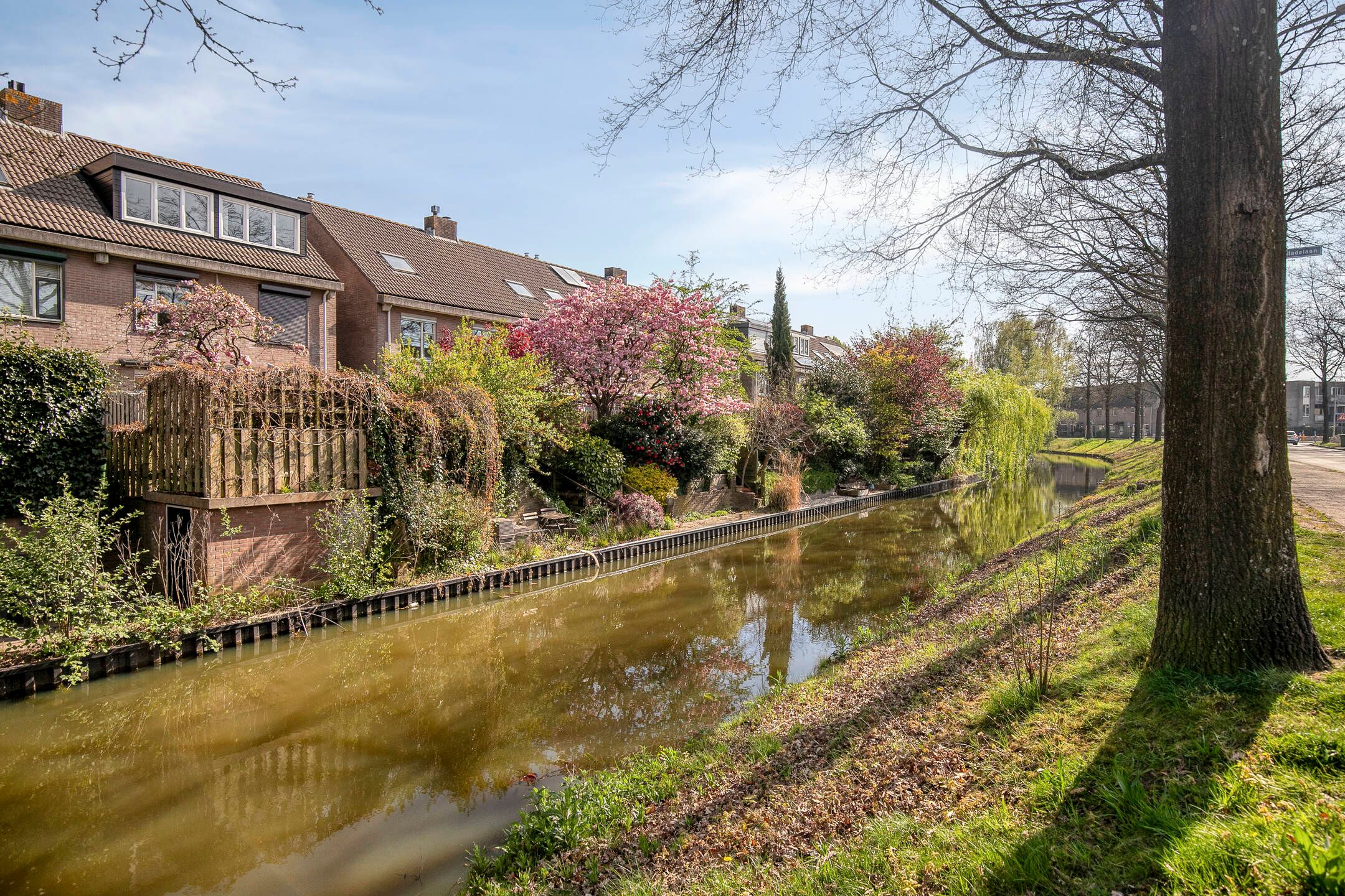 Foto 36 van Beverweerd 9