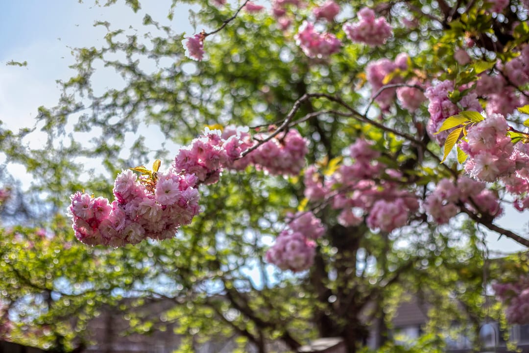 Foto 31 van Beverweerd 9