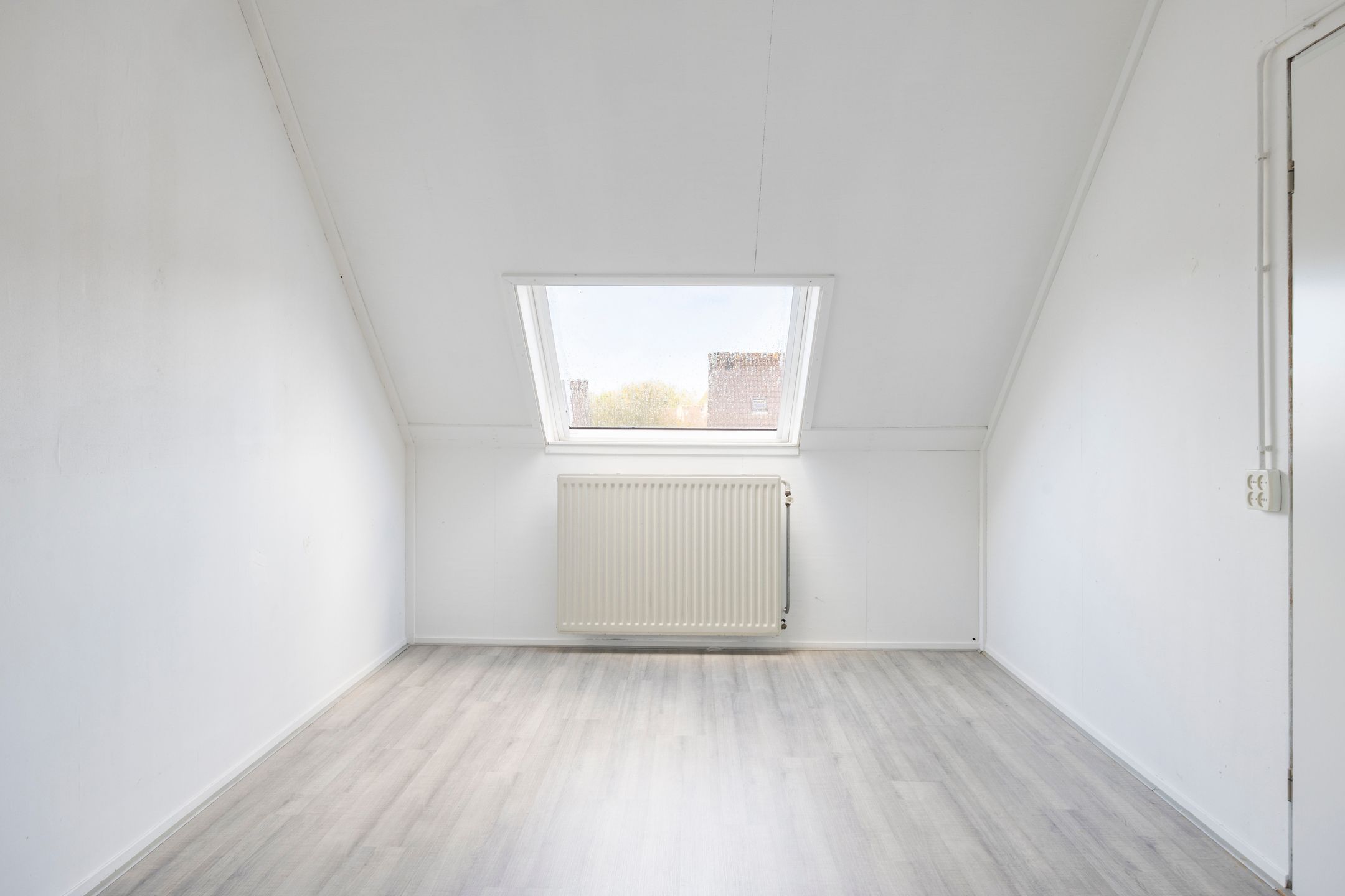 Foto 18 van Boterbloem 17