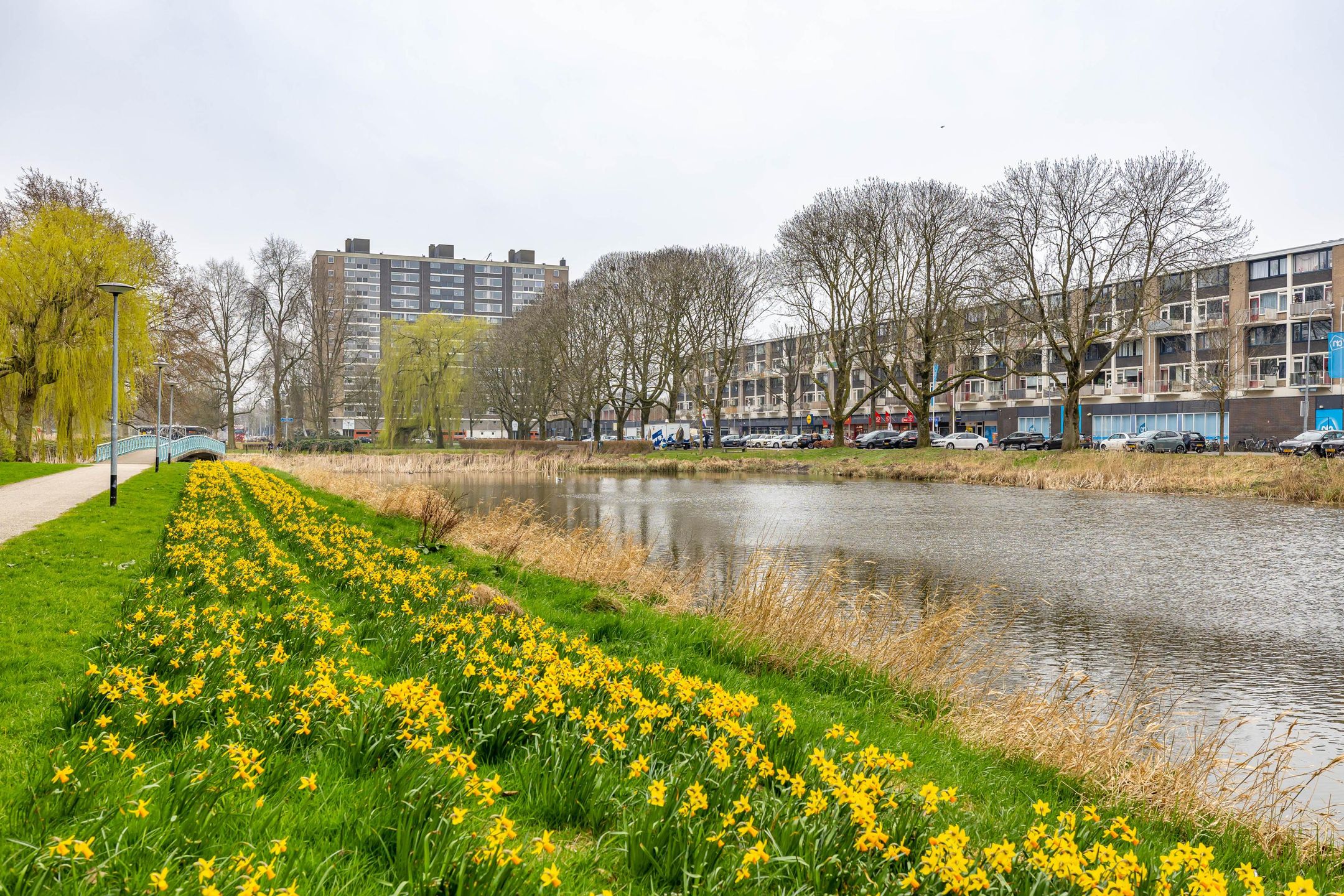 Photo 30 of Vondellaan 110