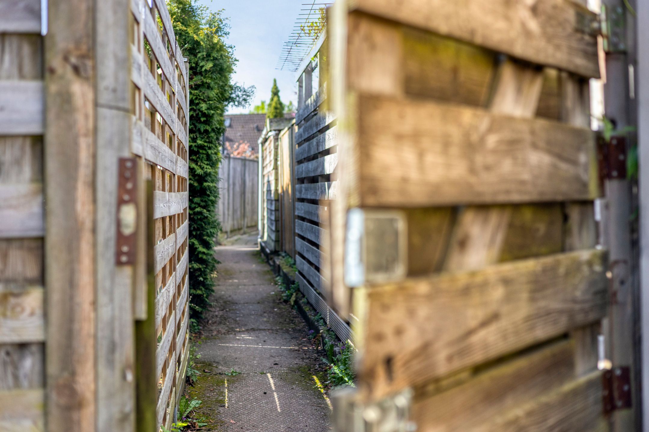 Foto 24 van Boterbloem 17