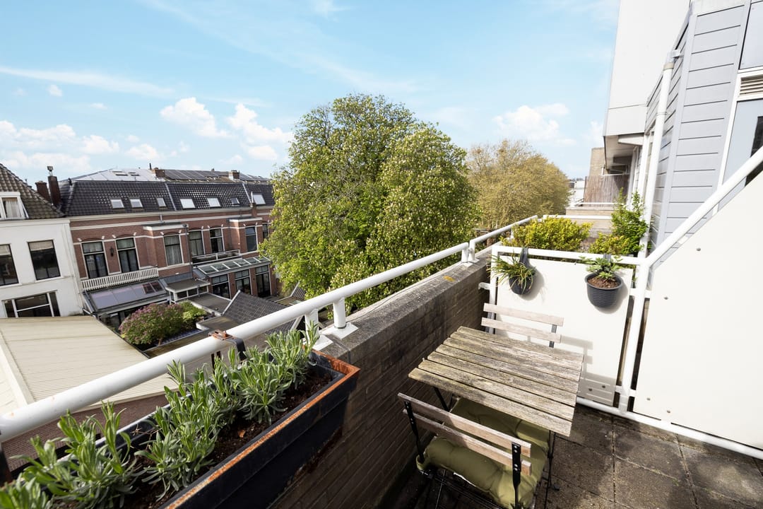 Foto 11 van Rozenstraat 101