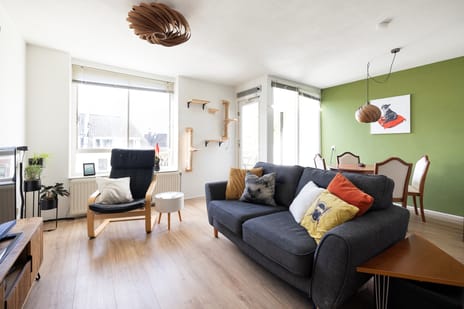 Rozenstraat thumbnail