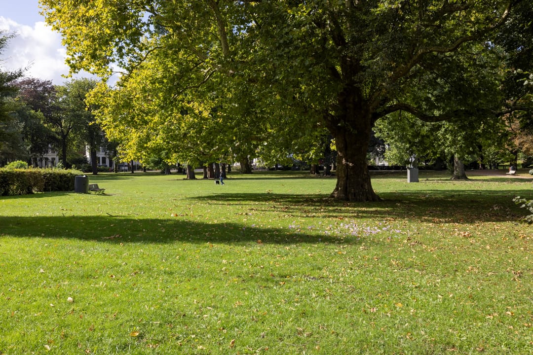 Foto 32 van Rozenstraat 101