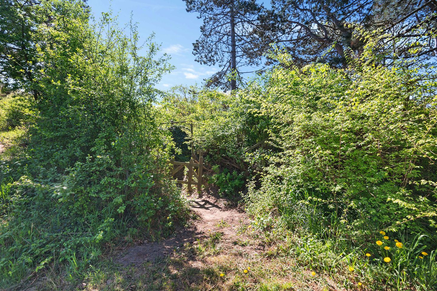 Foto 29 van Jhr. P.N. Quarles van Uffordlaan 1-A21