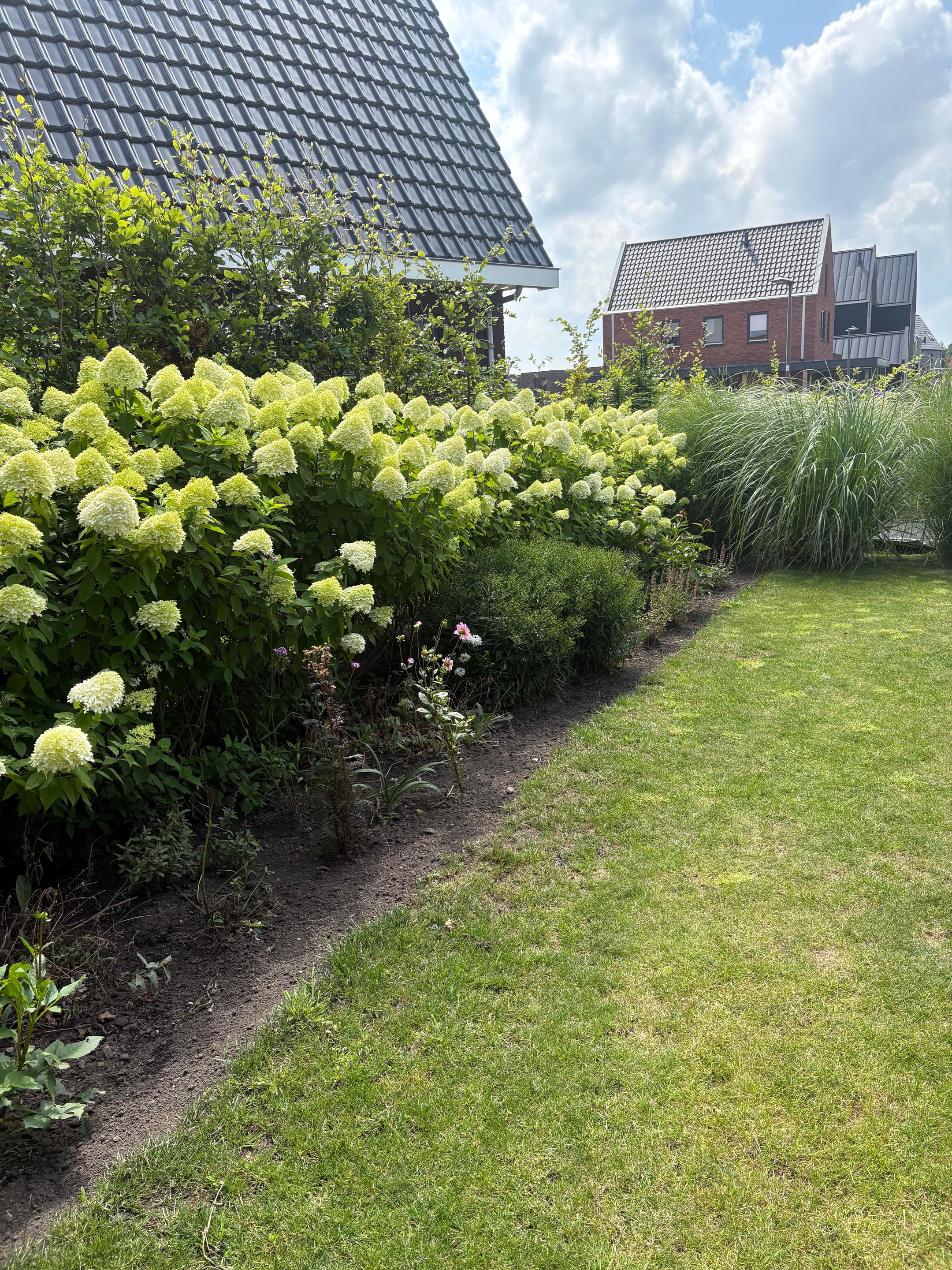 Foto 36 van Brandrood 29