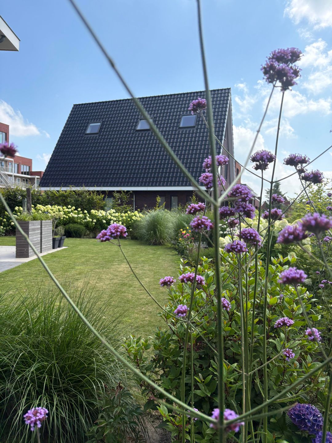 Foto 38 van Brandrood 29