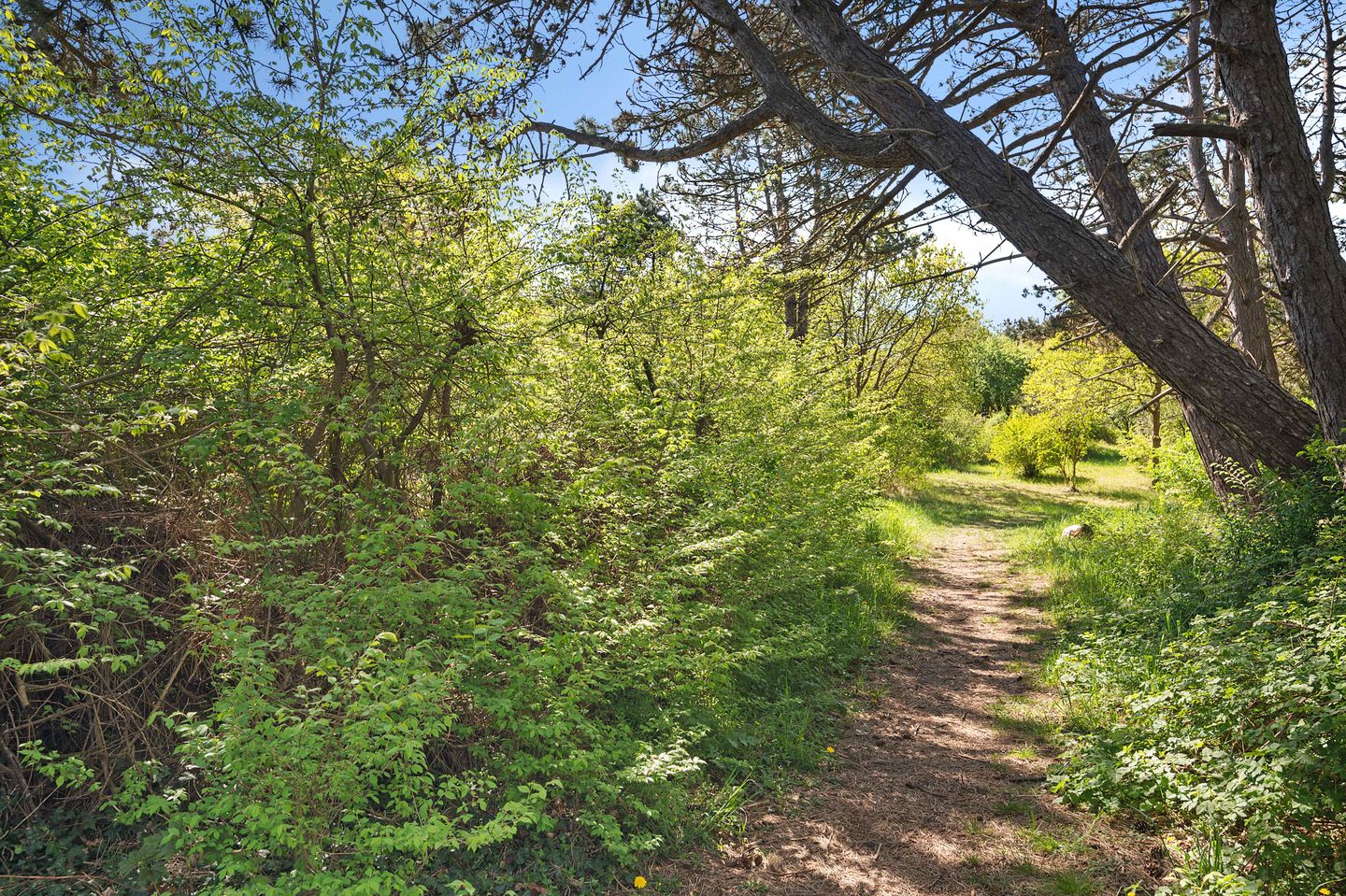 Foto 25 van Jhr. P.N. Quarles van Uffordlaan 1-A21