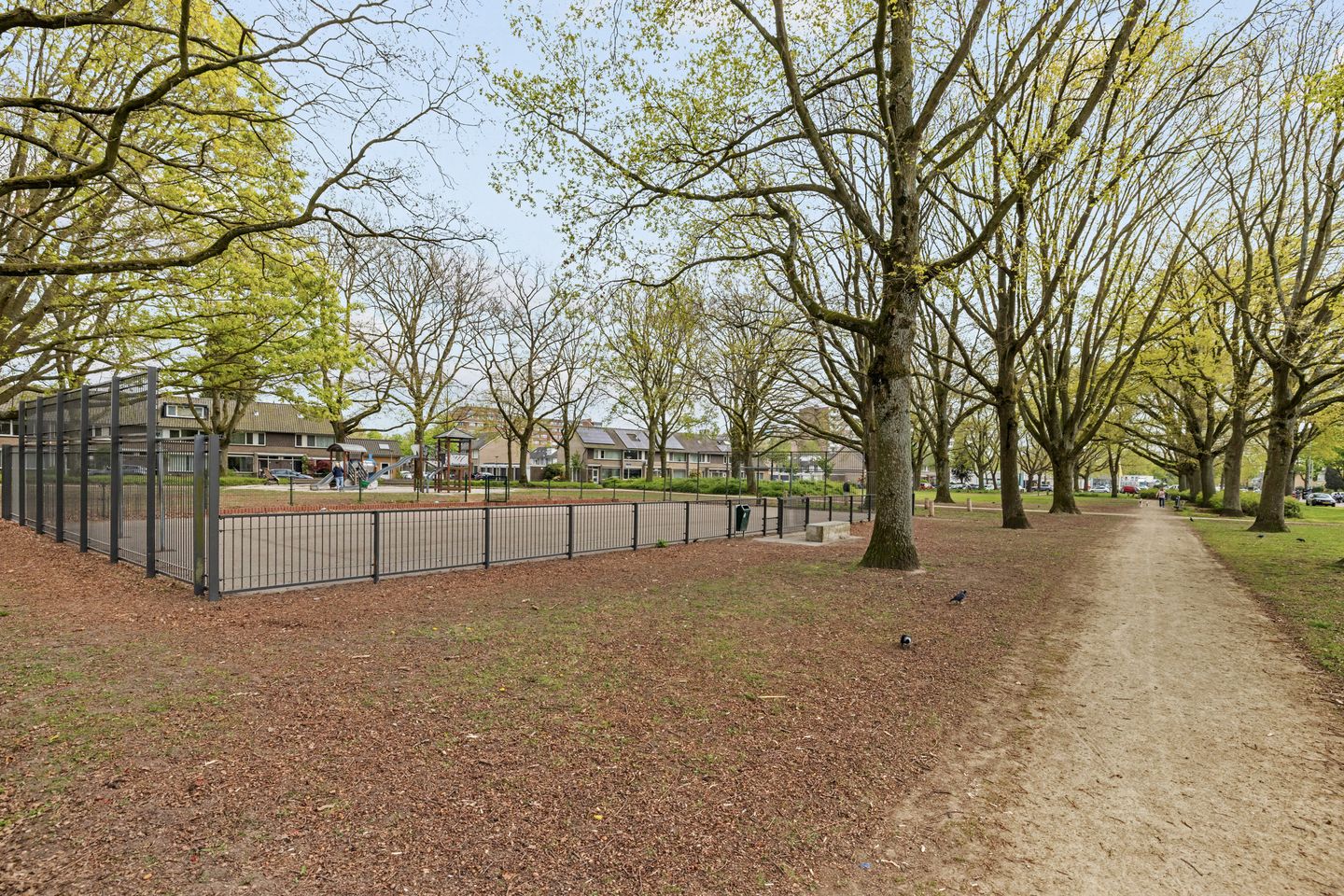 Foto 59 van Paasberglaan 45