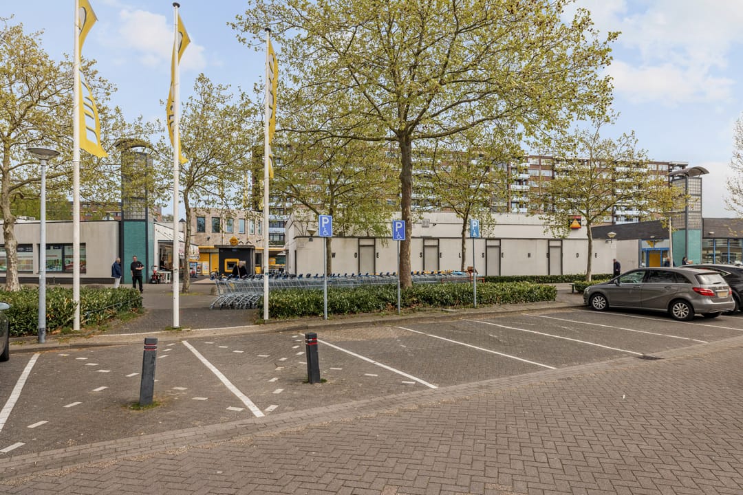 Foto 61 van Paasberglaan 45