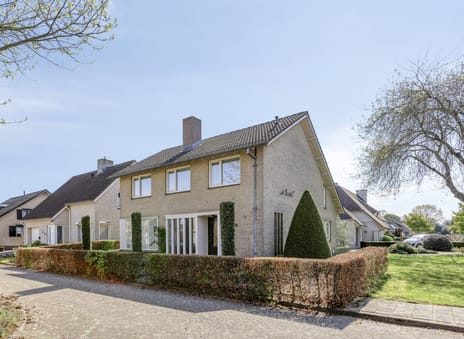 Julianasingel thumbnail