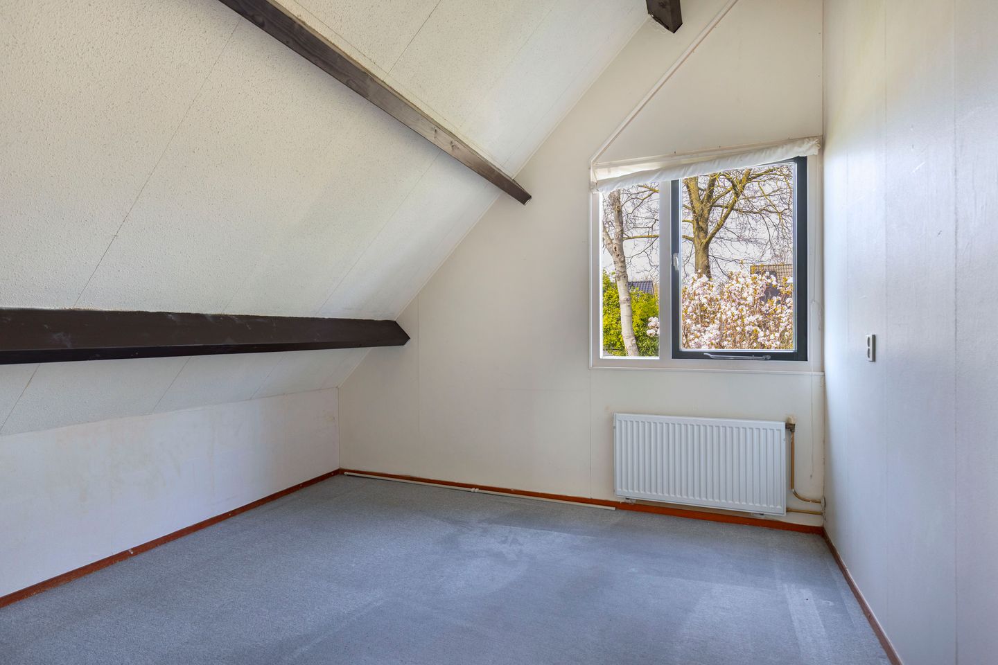 Foto 19 van De Rival 10