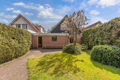 De Rival 10 tertiary image