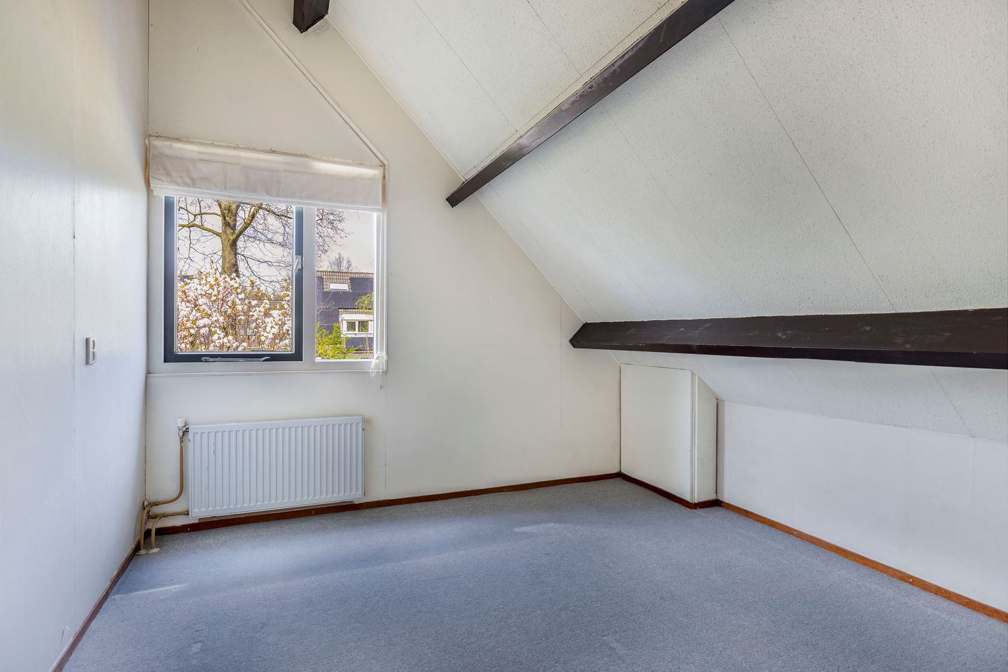 Foto 20 van De Rival 10