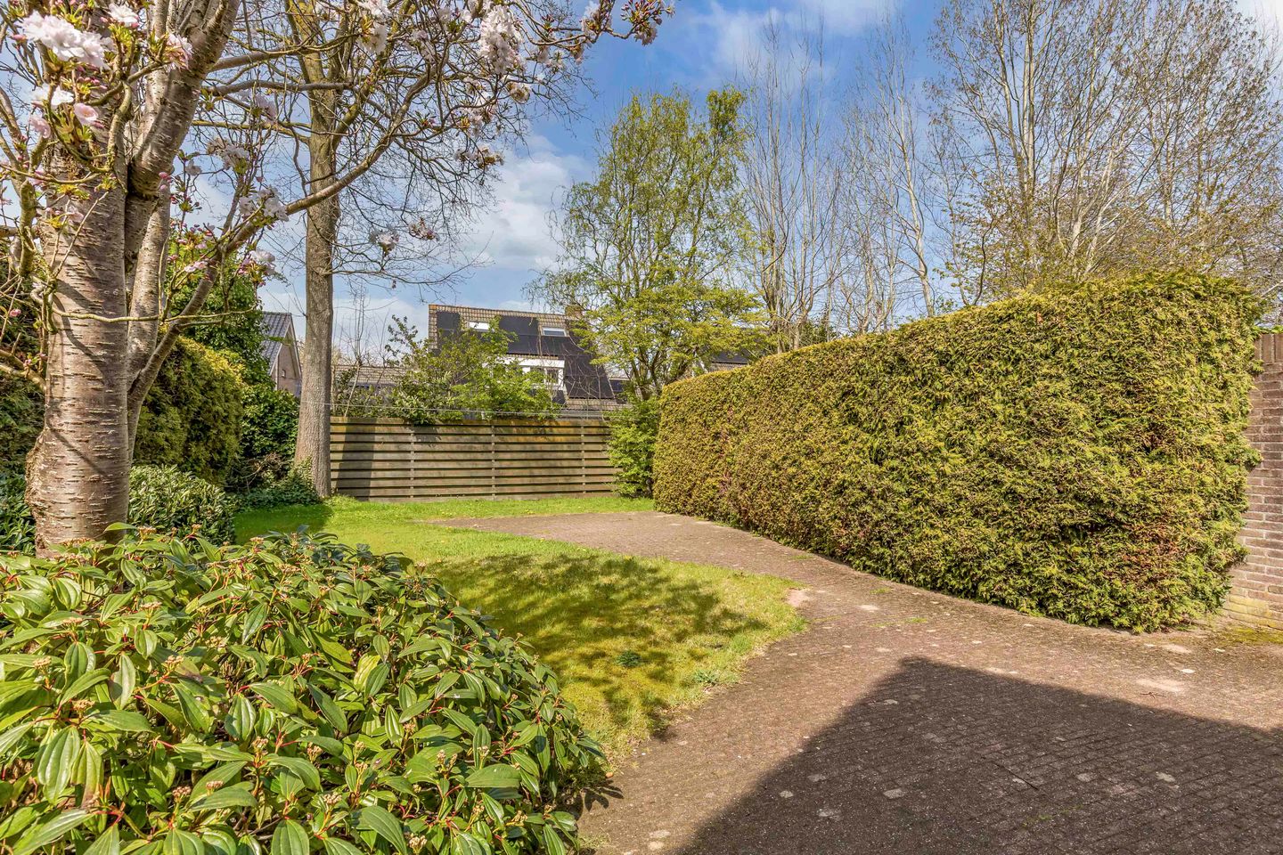 Foto 29 van De Rival 10