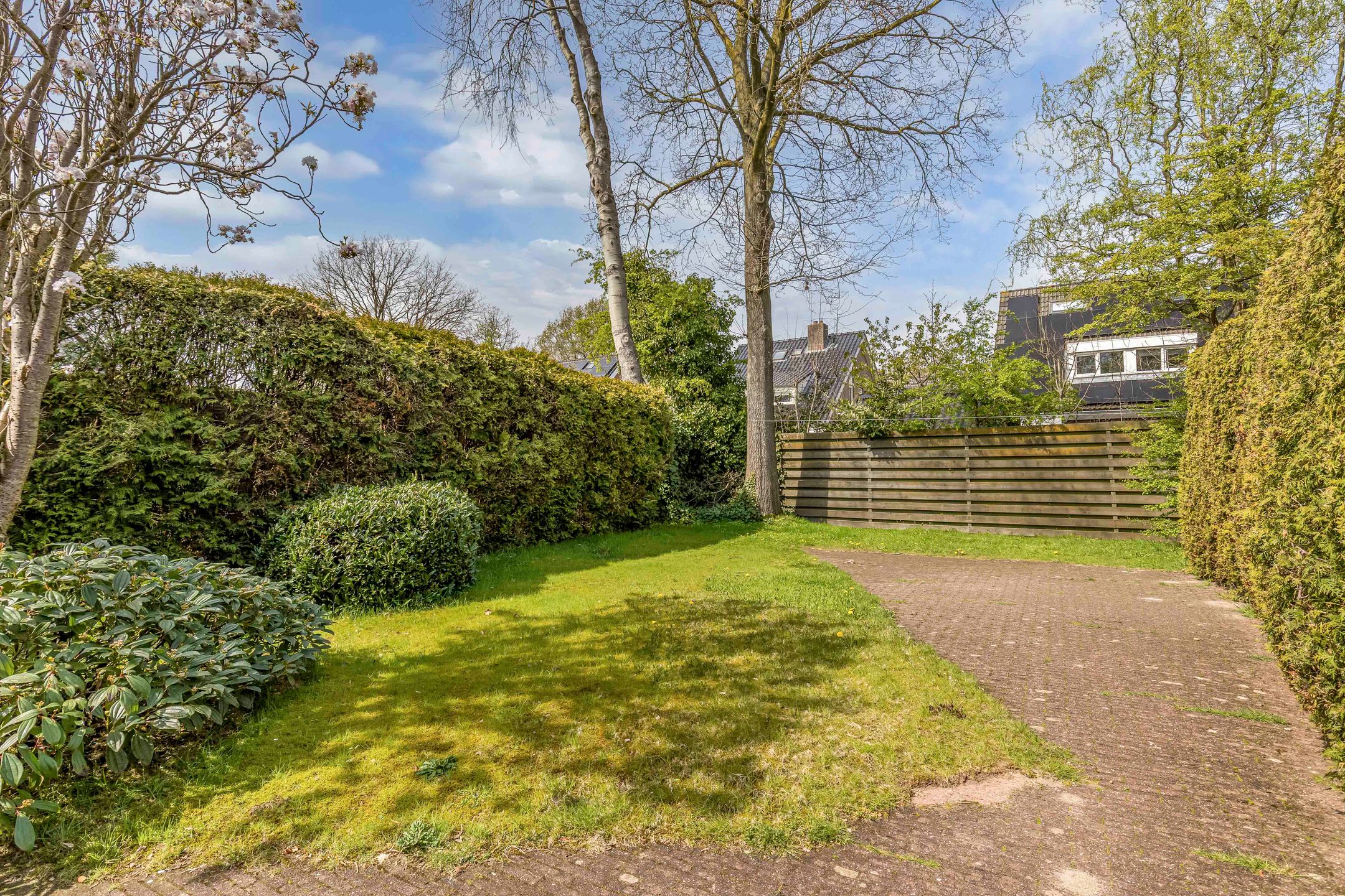 Foto 30 van De Rival 10