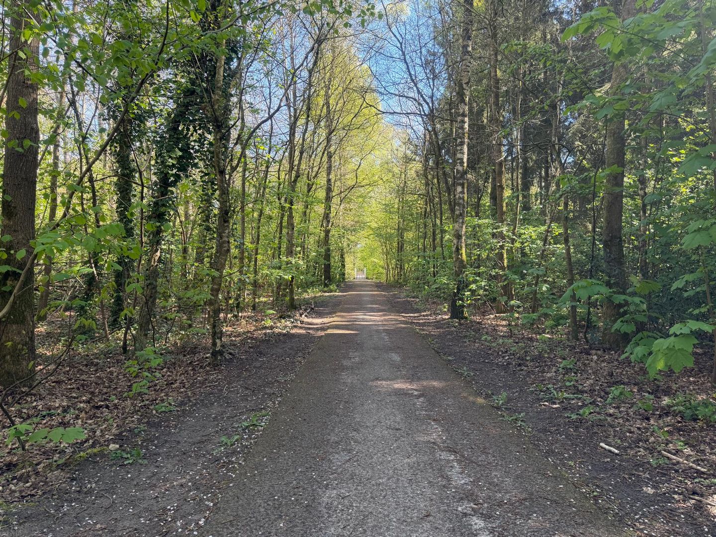 Foto 5 van Boslaan - kavel 1