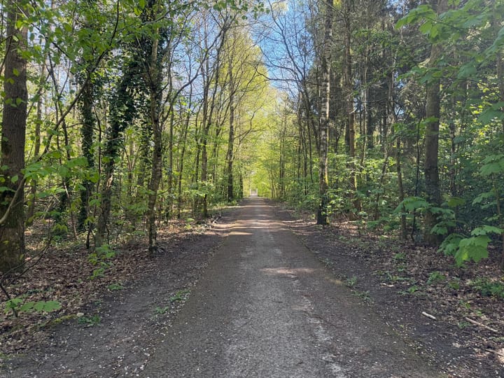 Foto 5 van Boslaan - kavel 1