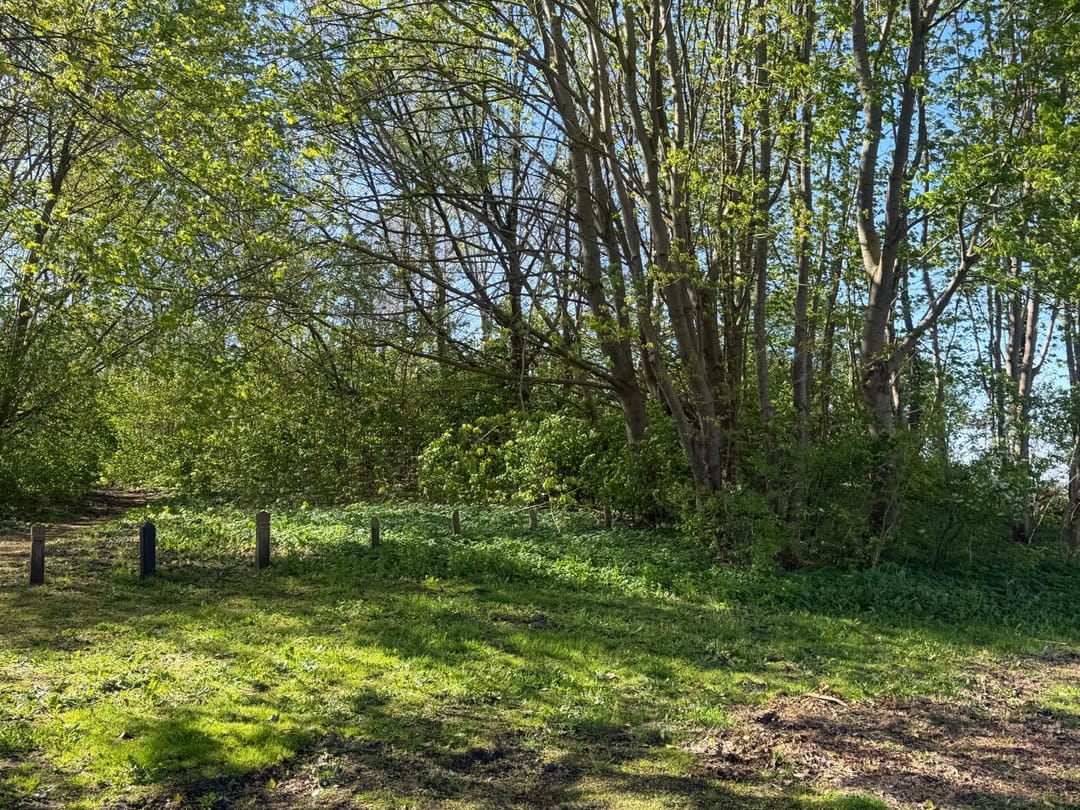 Foto 11 van Boslaan - kavel 1