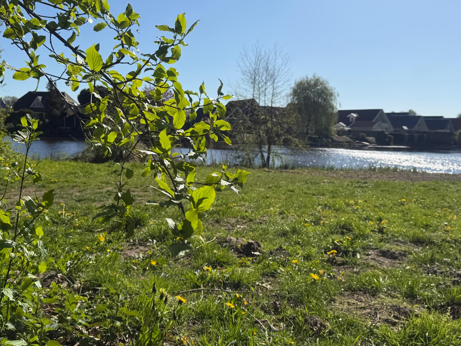 Foto 12 van Boslaan - kavel 1