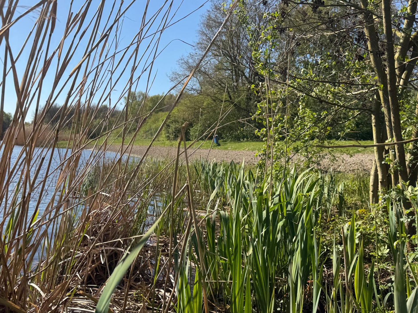 Foto 14 van Boslaan - kavel 1