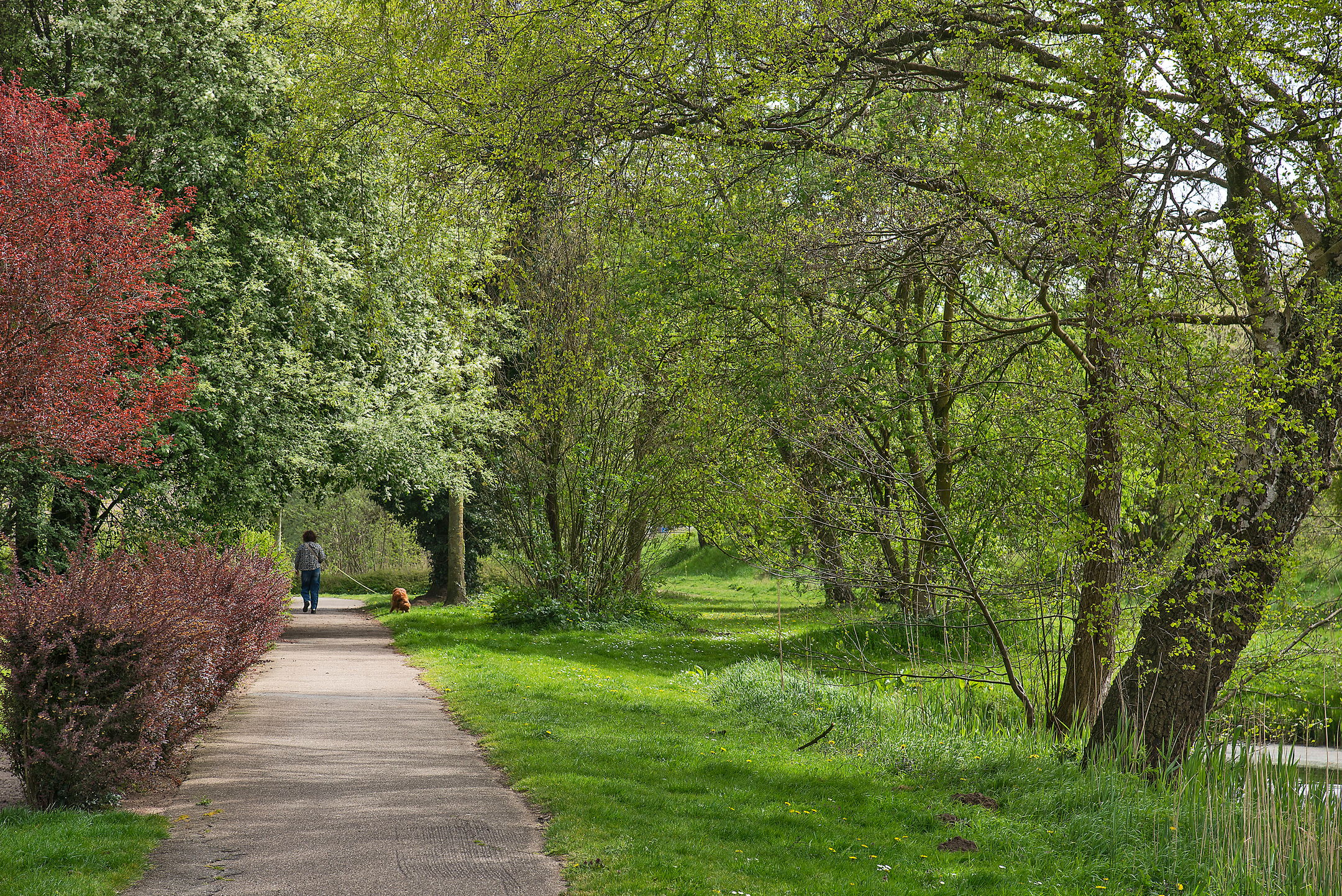 Foto 24 van Mozartstraat 76