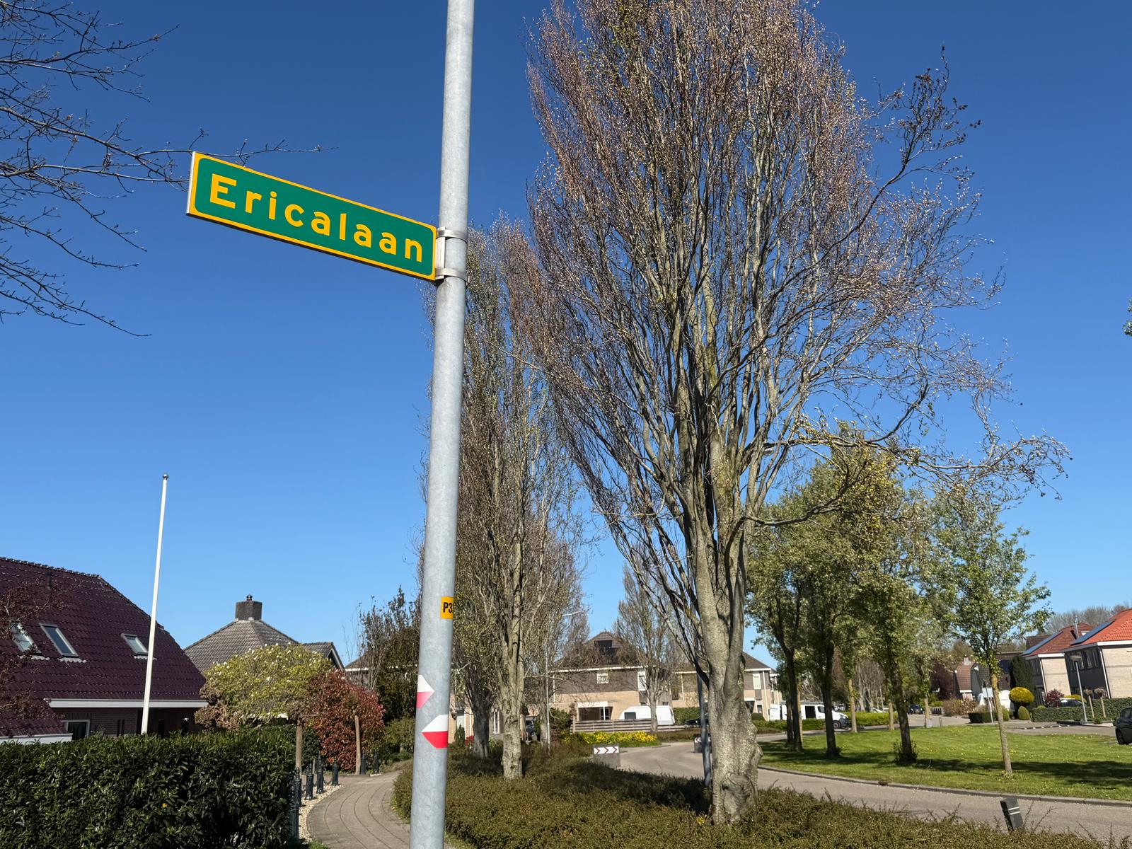 Foto 3 van Boslaan - kavel 2