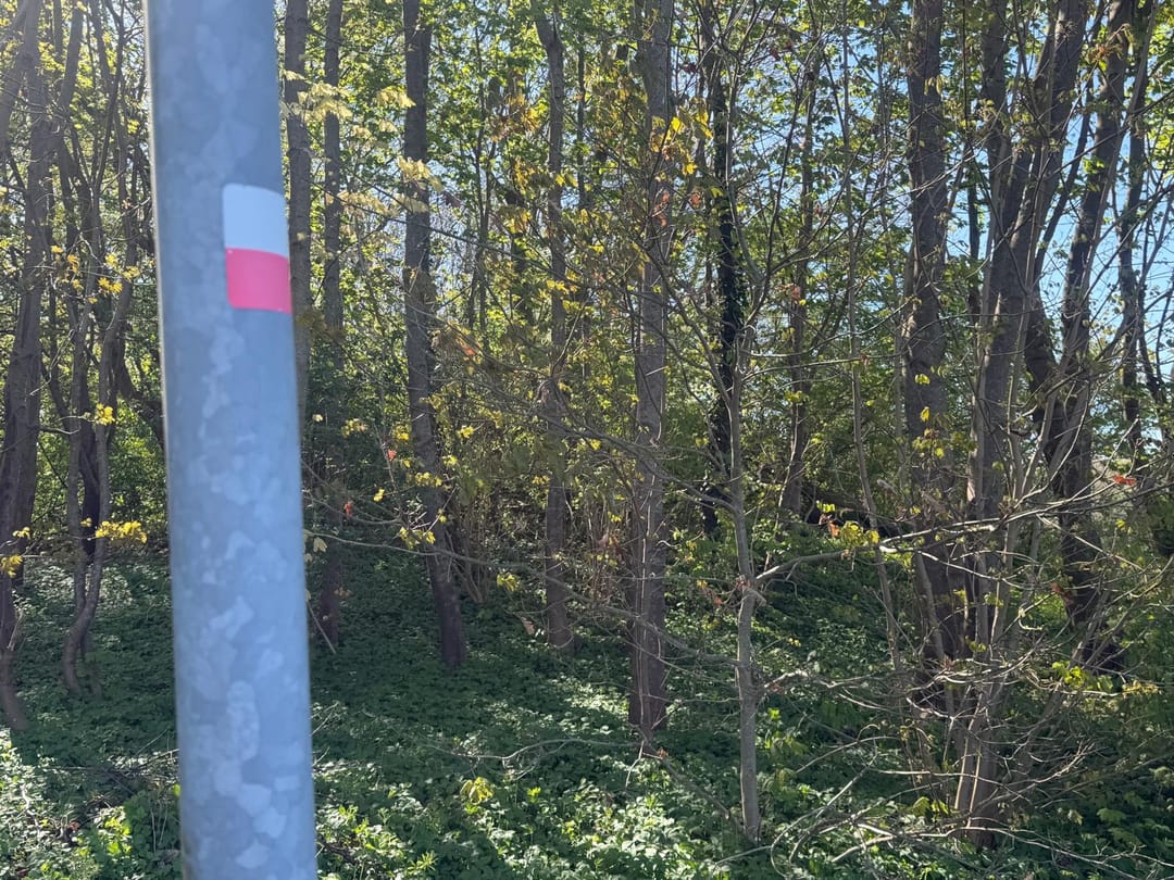 Foto 13 van Boslaan - kavel 2