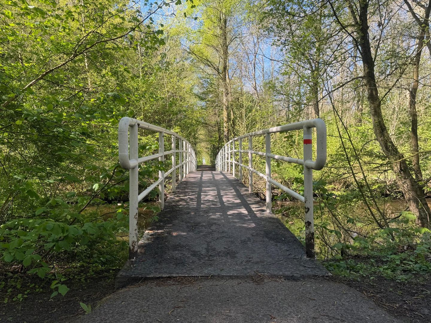 Foto 5 van Boslaan - kavel 3