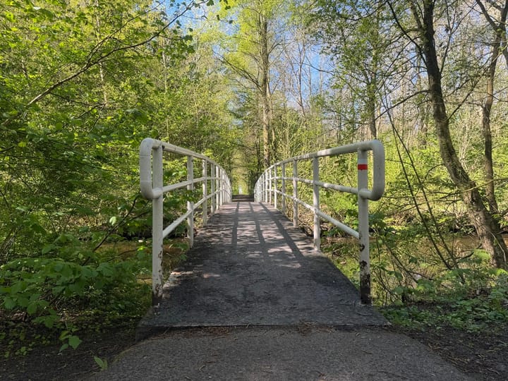 Foto 5 van Boslaan - kavel 3